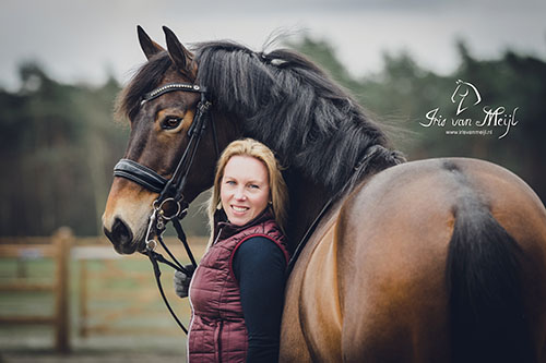 Search assistance horses